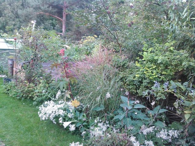 Baumfällung Lange in Uelzen Gartenpflege