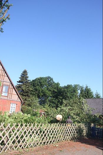 Baumfällung Lange in Uelzen Baumfällung