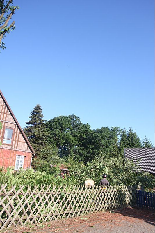 Baumfällung Lange in Uelzen Baumfällung